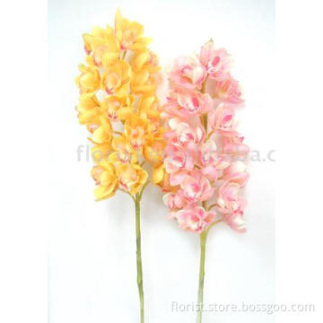 Cymbidium Orchid